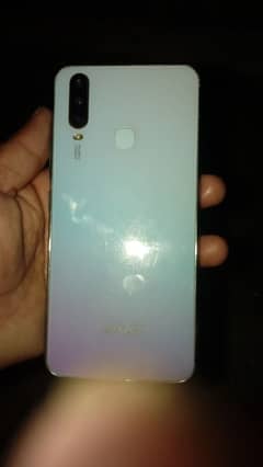 vivo