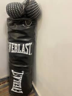 Punching bag with 2 gloves and hanging chain never used (Everlast)