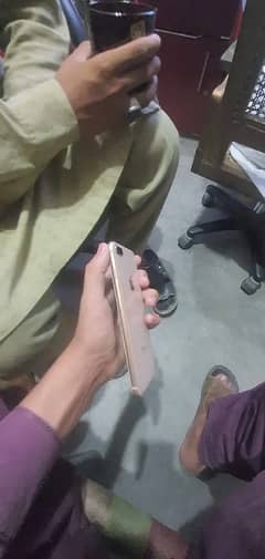 iPhone 8 Plus