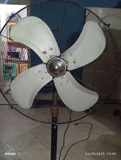royal pedistal fan