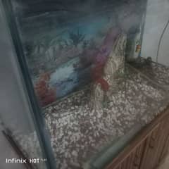 fish house