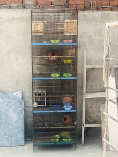 birds big cage for sale