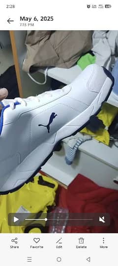 puma