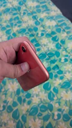Iphone XR 128gb 81% battery