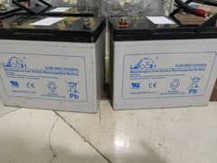 Leoch Dry Batteries sale 80ah