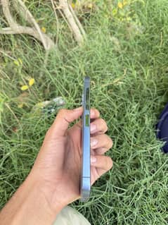 13 pro max