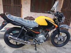 Yamaha YBR G 2025 modal Gold edition