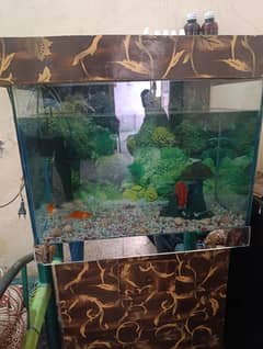 aquarium