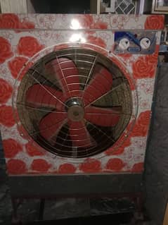 lahori  coler call me 03161617852