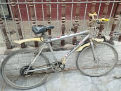 Bicycle