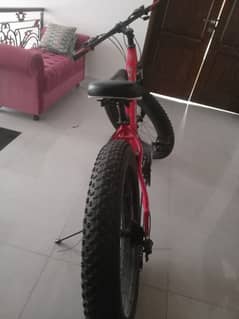 fat bike