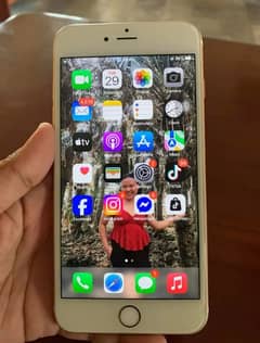 iphone 8 Plus 256 GB PTA Approved my what App number No 0313/5912/125
