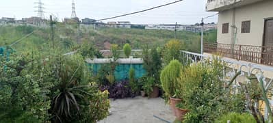 Plot for sell