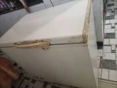 Used Freezer | 10/10 Cooling