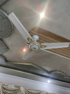 royal fan very good condition new jesay han