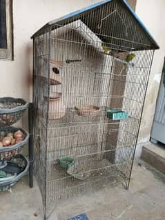 birds cage for sale