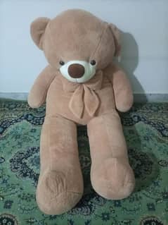 Brown and White Teddy Bear