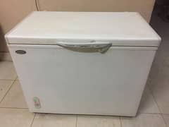 Deep Freezer waves
