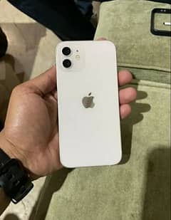 Iphone 12 256 GB FU