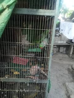 Breeding