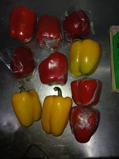 Sales Man for Vegitabls