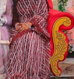 heavy pearl and siquance saree