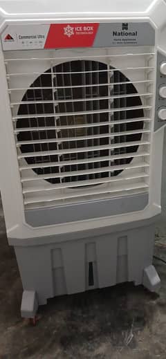 AC/DC Air Cooler