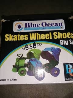 skating shoes