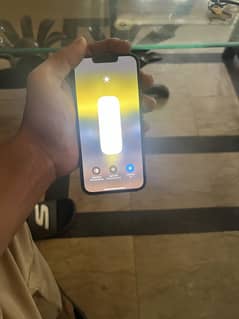 Iphone 13 pro jv green