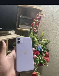 Iphone 11 PTA aproved