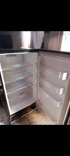 pel glass door refrigerator