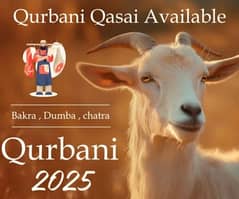 Qasai Available at your doorstep