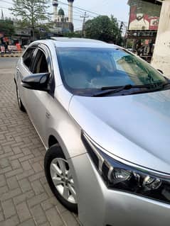 Ride on Rental