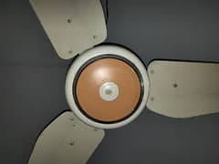 Three ceiling fans for sale AC