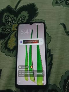 Redmi A1+