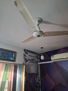 Ceiling Fan Sale on urgent
