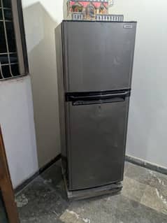 Fridge XL size orient company