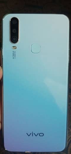 Vivo