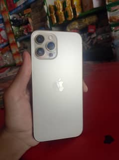 12 pro max waterproof non pta