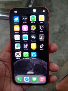 IPhone 12 64 Gbs