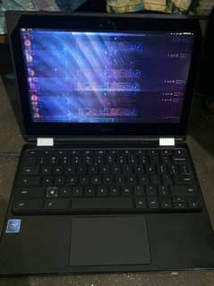 Acer