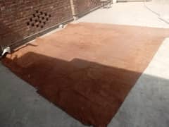 Carpet