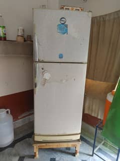 Pel fridge for sale