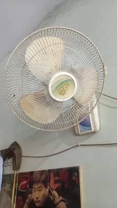 bracts fan