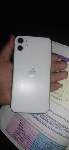 Apple iPhone 11