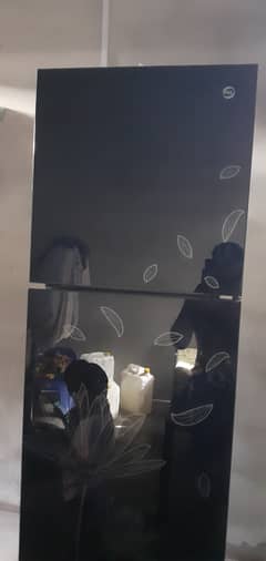 PEL