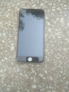 iPhone 6 plus