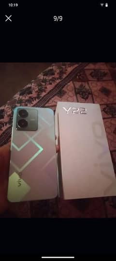 vivo