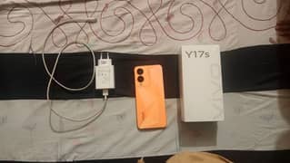 Y17s