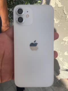 iPhone 12 PTA approved for sale